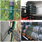 Chain link fence/pvc coated chain link fence for sale