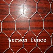Hexagonal wire netting/chicken wire /poultry netting for sale